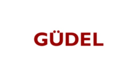 瑞士GUDEL軸承